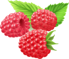 raspberry